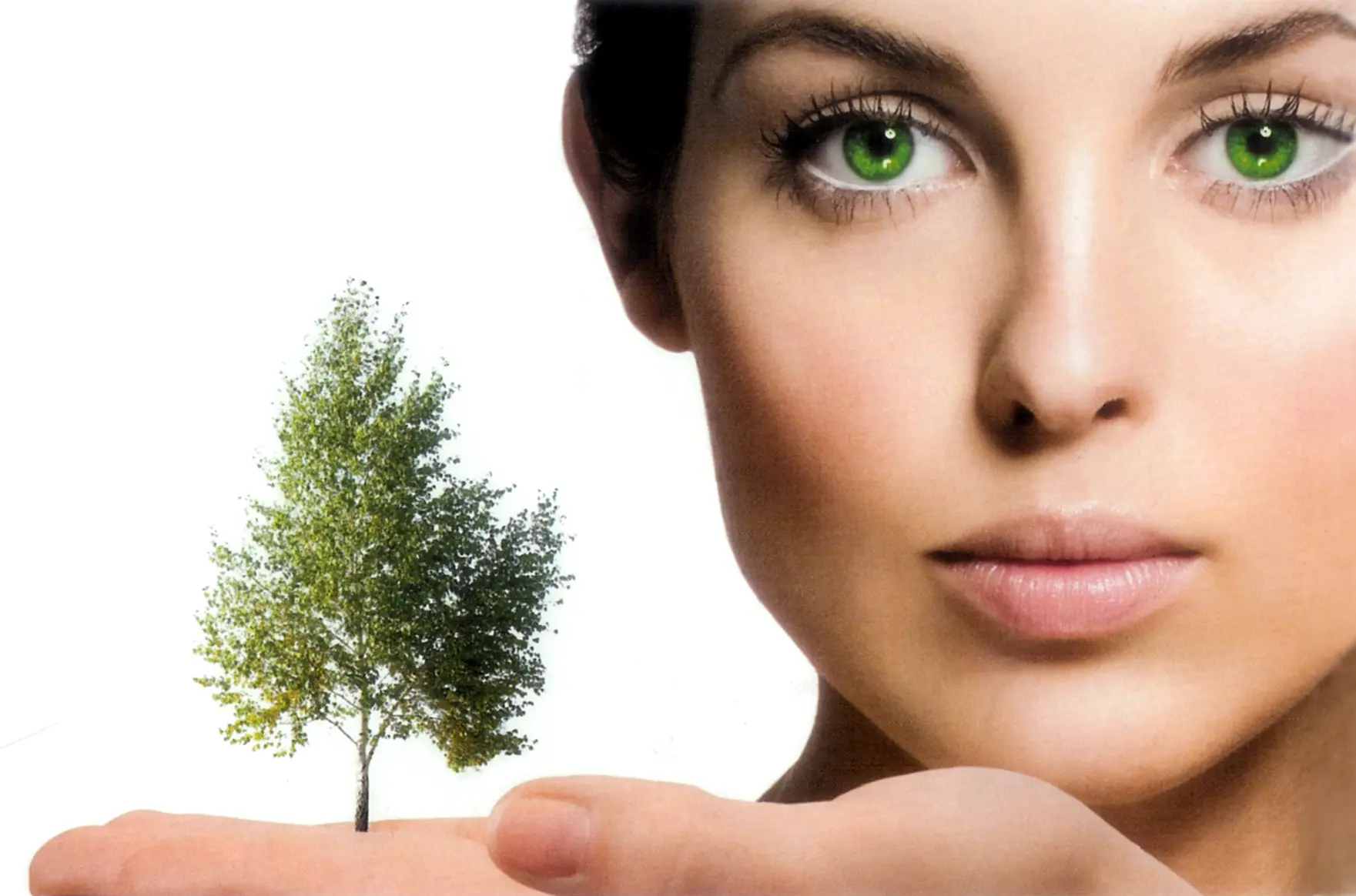 sustainable packaging supplier